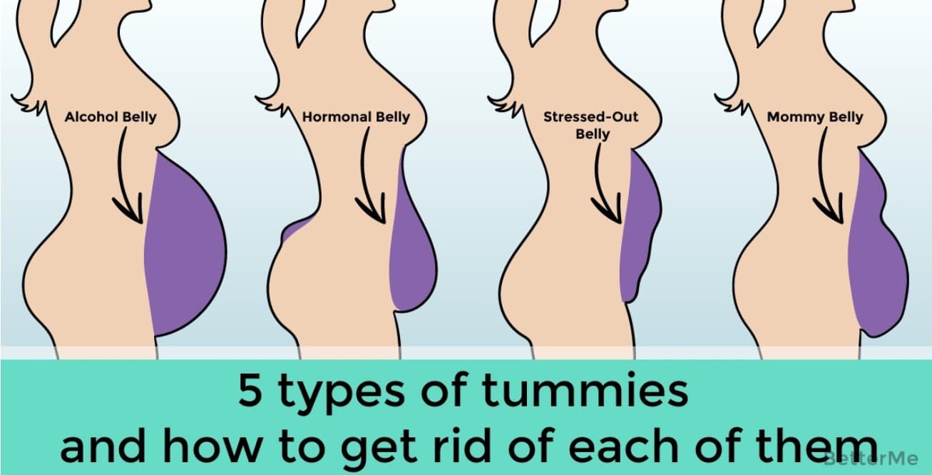 What Are The Different Belly Types