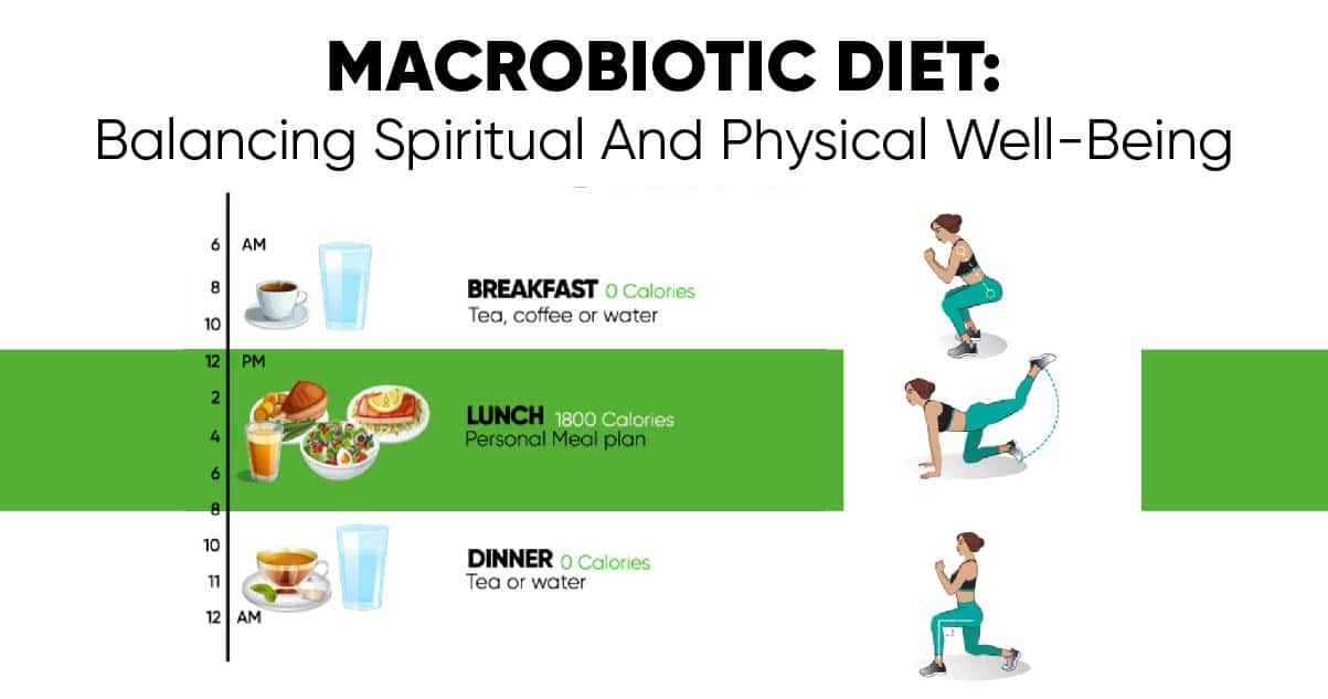 macro diet plan muscle gain macro diet plan muscle gain