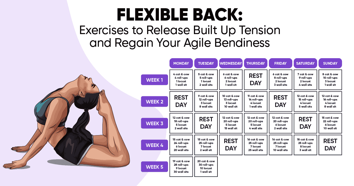 Flexible Back: Exercises to Release Built Up Tension and ...