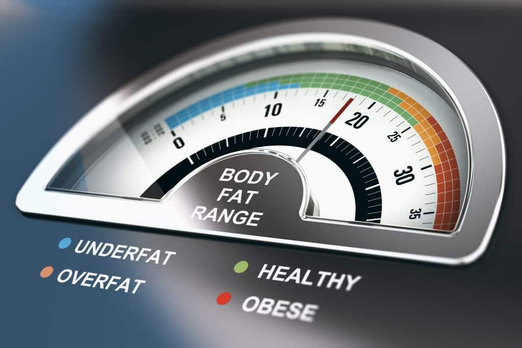 Body Fat Percentage Calculator Can You Diagnose Obesity With It