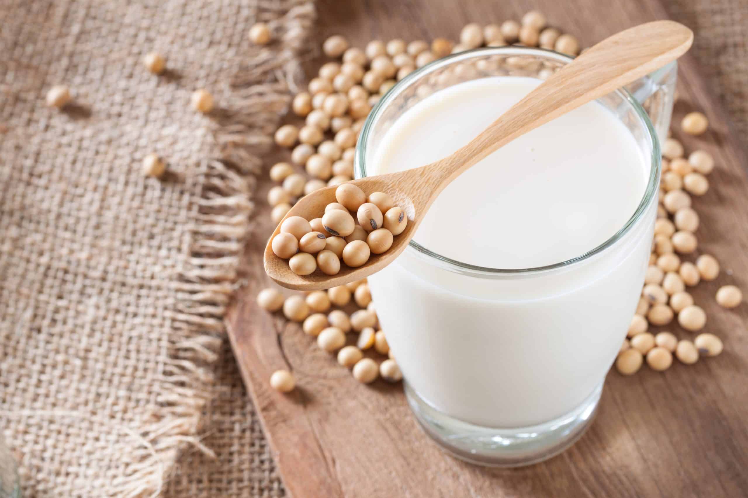 dangers of soy milk