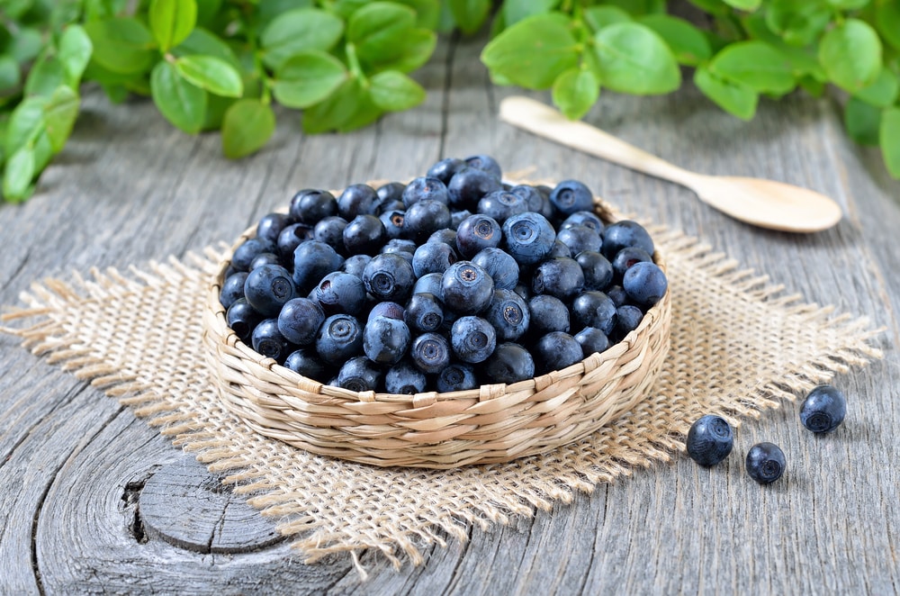 benefits of bilberries