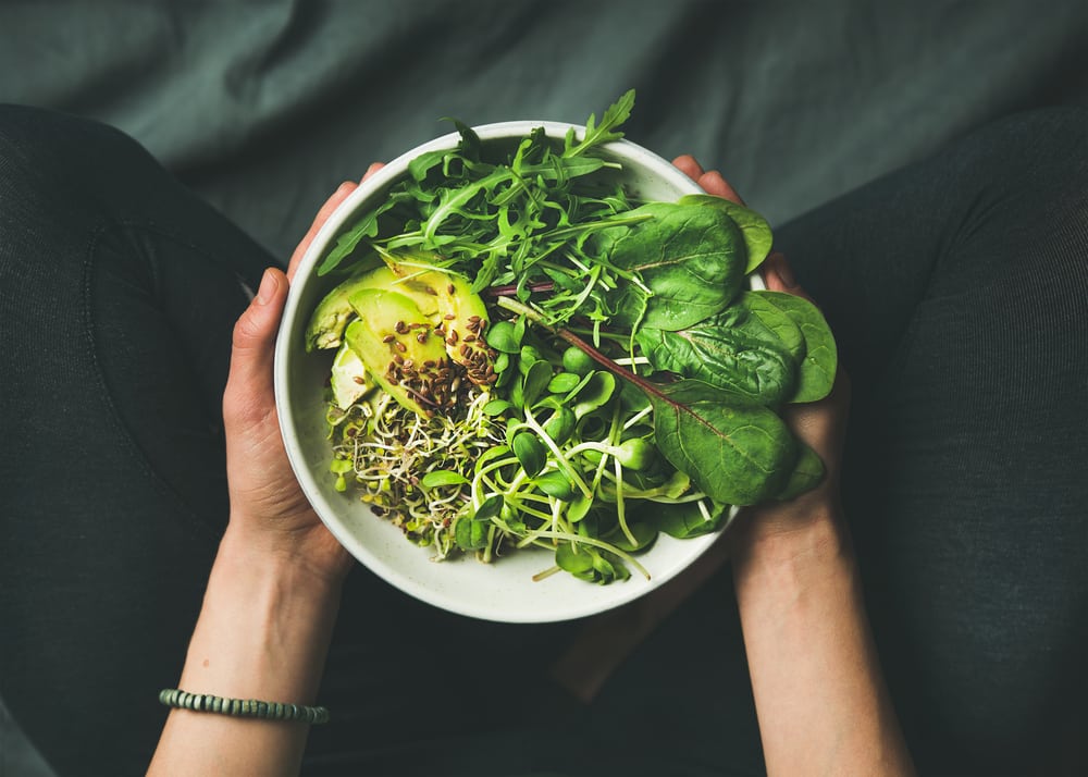 how to follow a healthy 3000 calorie vegan meal plan