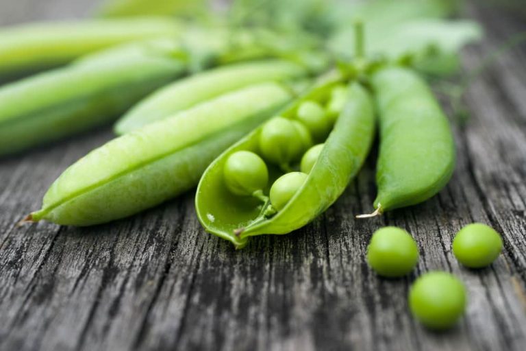 Are Peas Good For You Losing Weight Your StandAlone Source Of Fiber