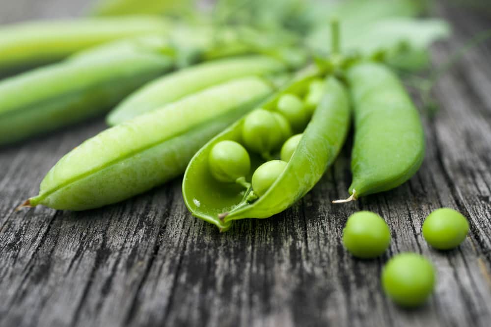 are peas good for you losing weight