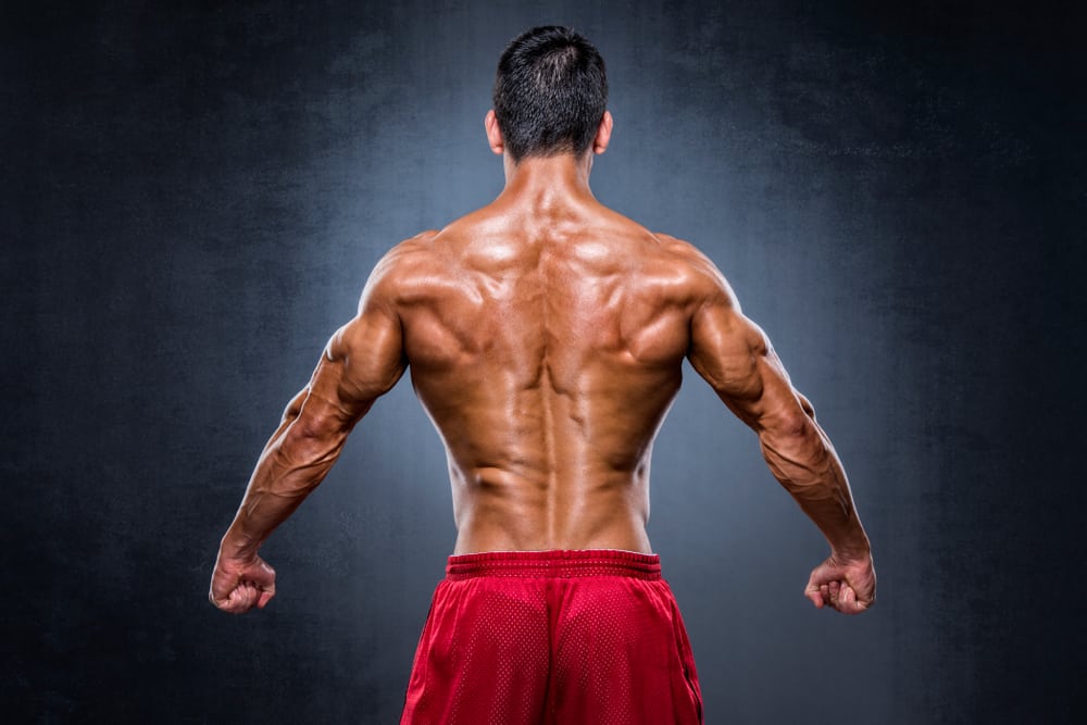 build a strong lower back. 