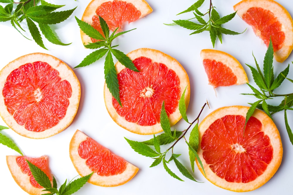 7-day-grapefruit-diet-for-weight-loss-benefits-cons-and-a-sample-meal-plan