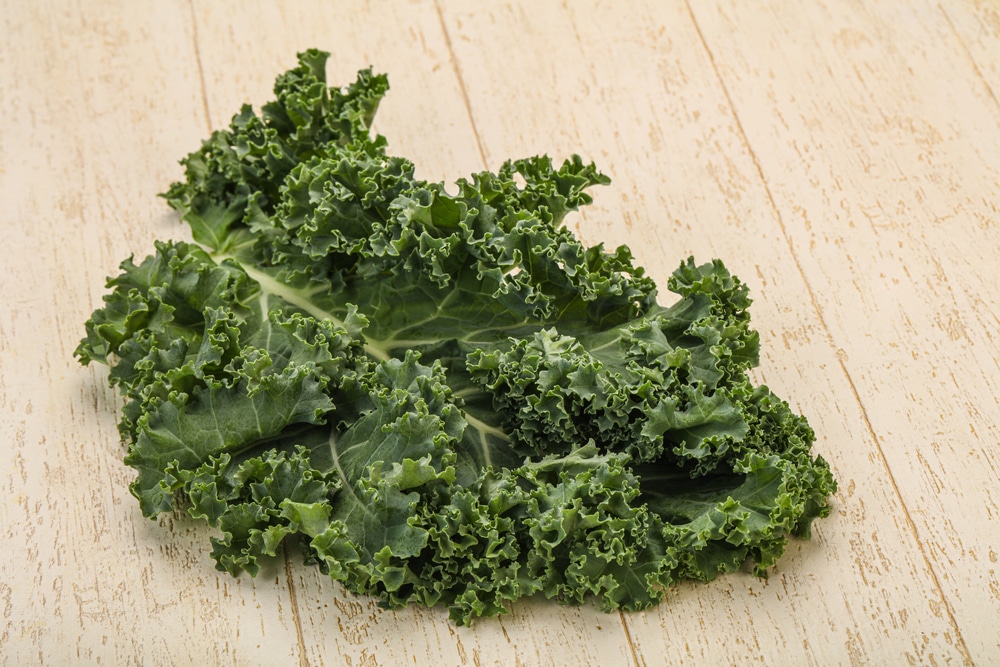 Green Leafy Vegetables: 8 Nutritious Veggies You Should Eat More Often