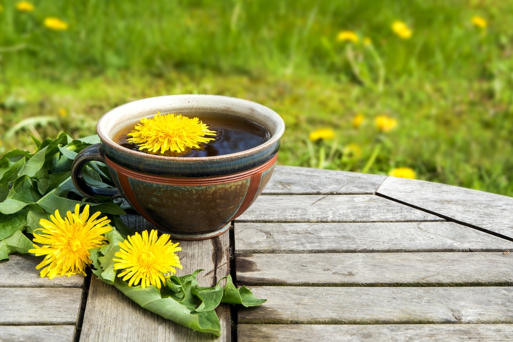 dandelion root tea detox