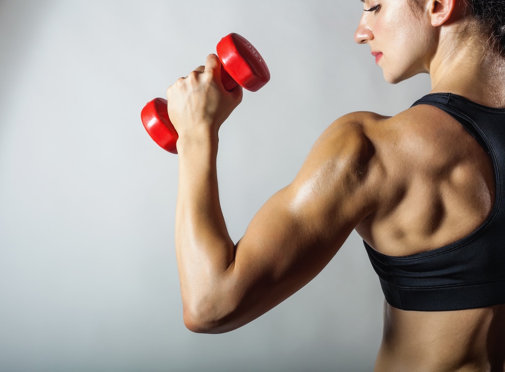 build muscle on a calorie deficit