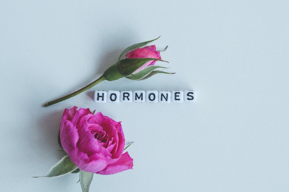 best foods for hormone balance