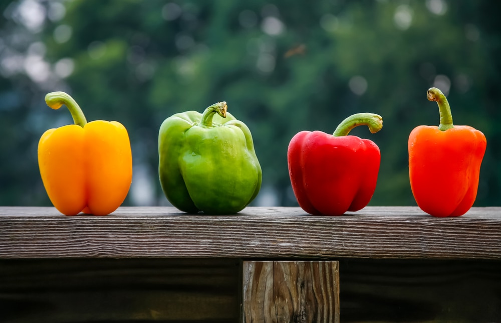 are bell peppers good for you