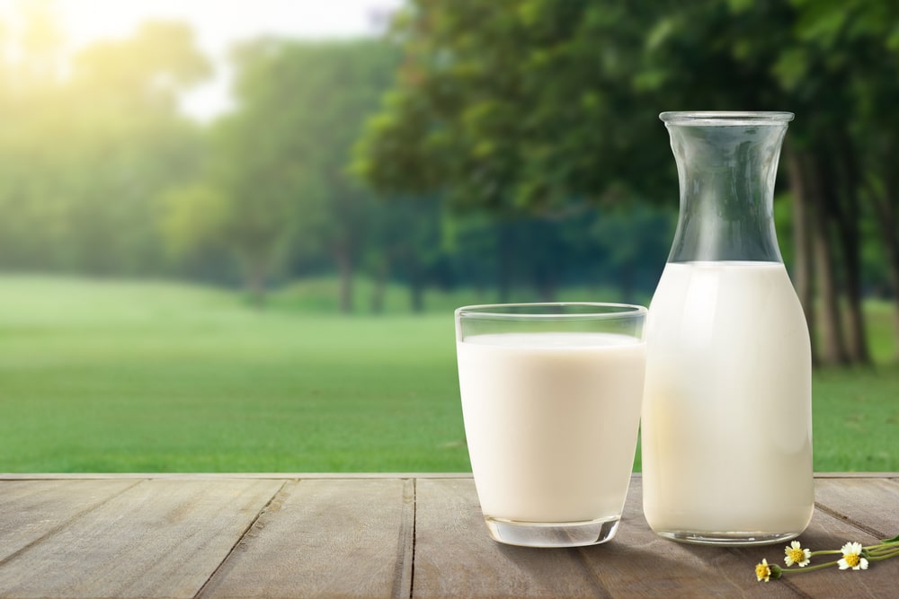 does milk make you gain weight
