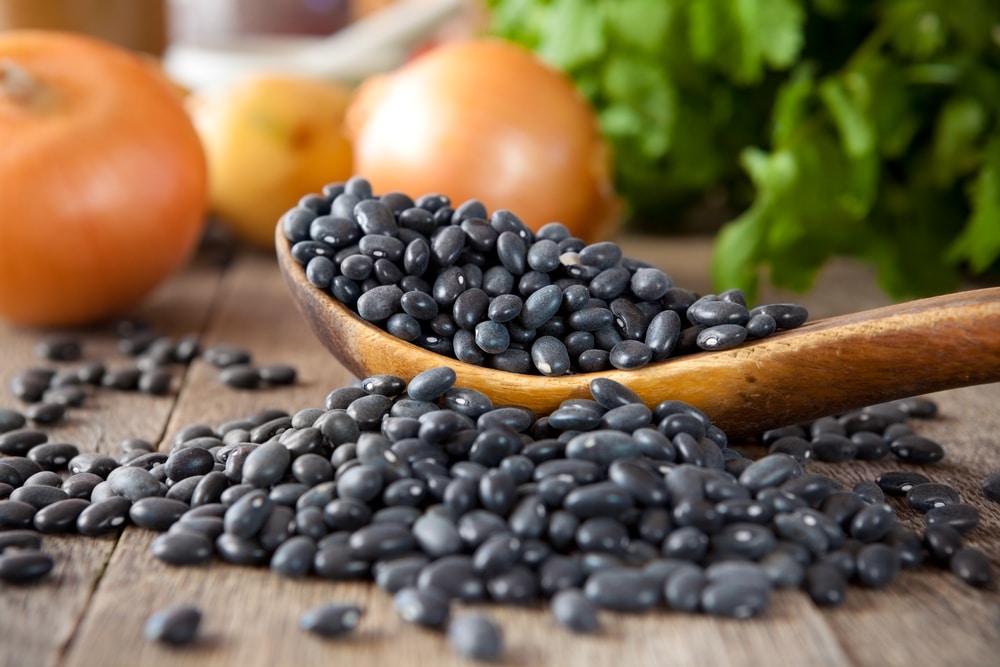 black beans nutrition 100g
