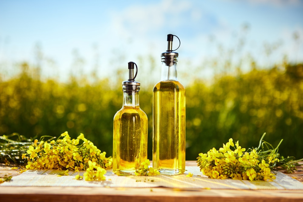 canola oil vs vegetable oil