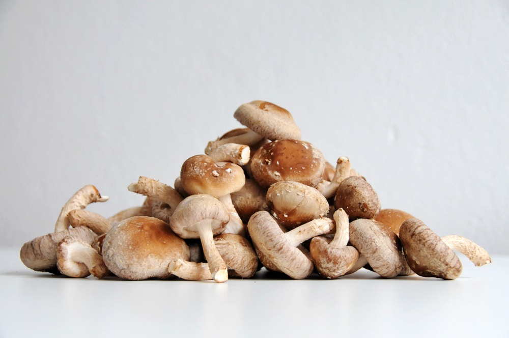 benefits of shiitake mushrooms