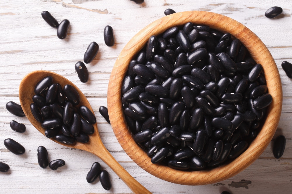 anfibio-manoscritto-vitello-black-beans-gi-labbra-colpevole-sesso