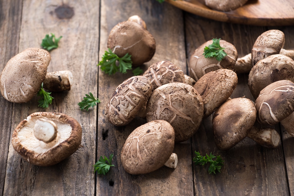 benefits of shiitake mushrooms
