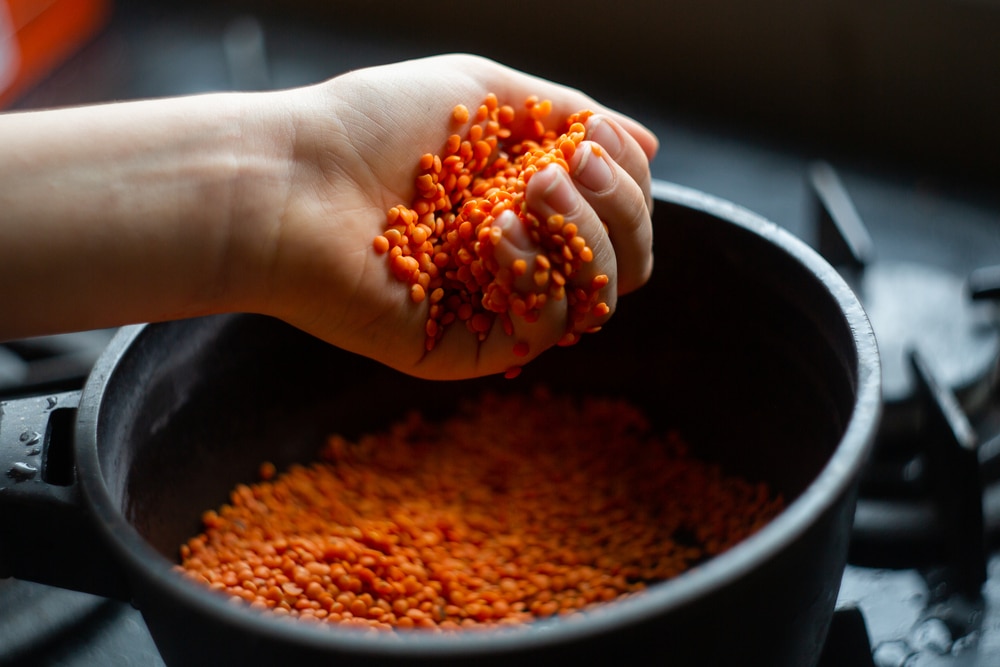 red lentils nutrition