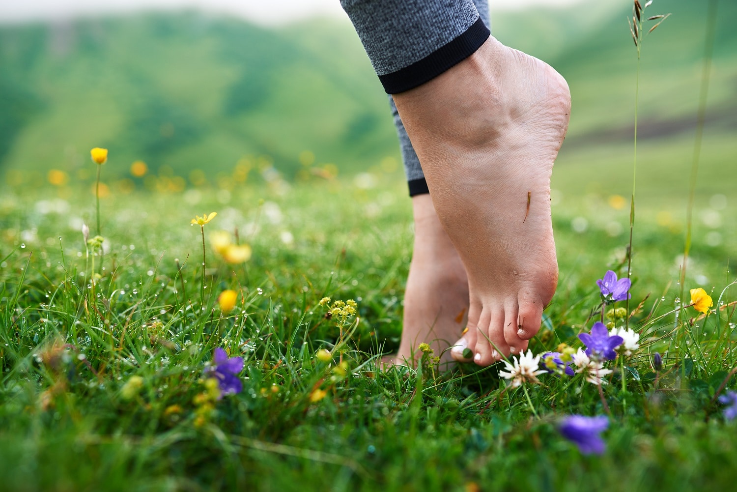 Did you know there's health benefits to walking barefoot in the grass?