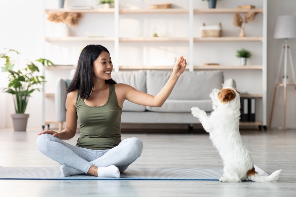 Yoga With Dogs: Benefits To Finding Zen With Your Dog - BetterMe