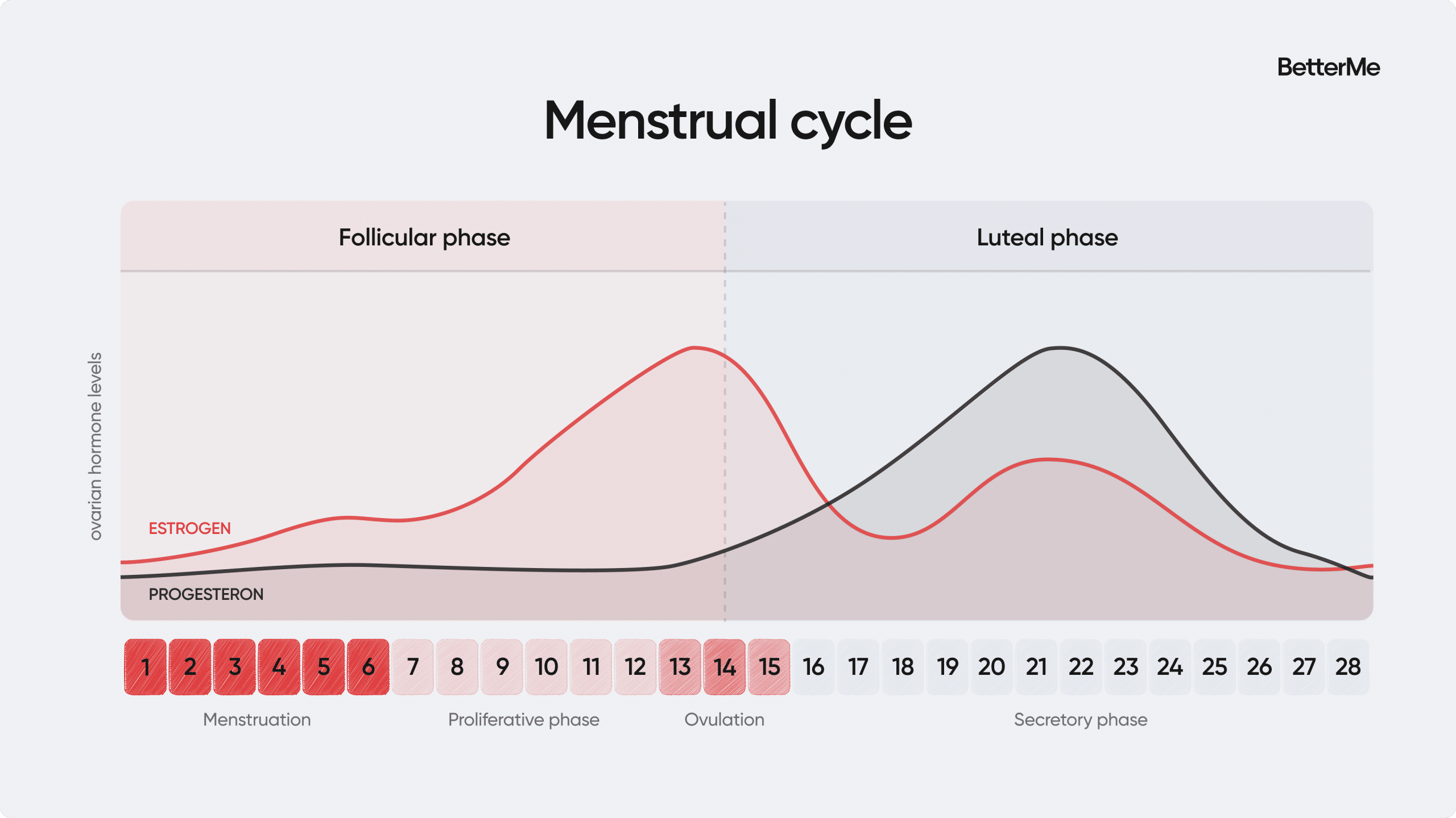 cycle syncing